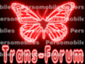 Trans forum
